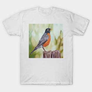 American Robin - bird painting T-Shirt